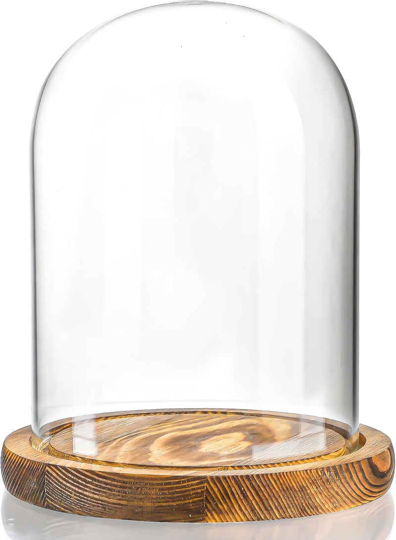 ZEERSHEE Glass Cloche Display Dome Decorative Glass Display Bell Jar with Wooden Base for Home Party Wedding Decor（6.3''*4.8'' - Image 4